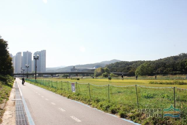 황새울교와 자전거 도로, 게이트 볼장