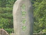 솔밭공원 썸네일 이미지