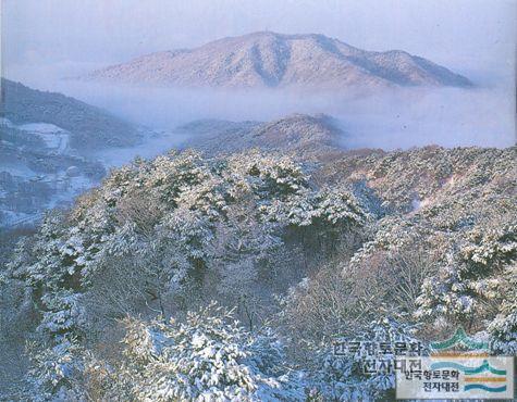 산성에서 바라본 우암산 전경