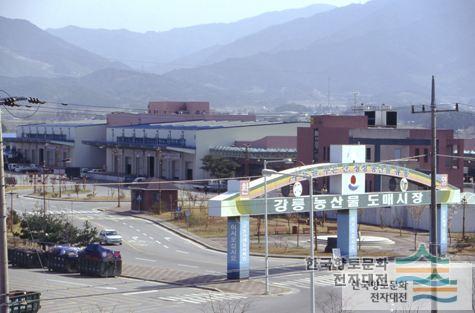 강릉농산물도매시장