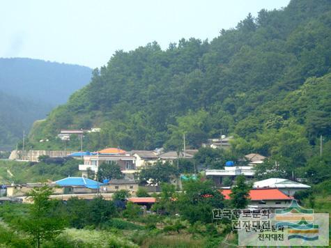 사촌리 사촌마을