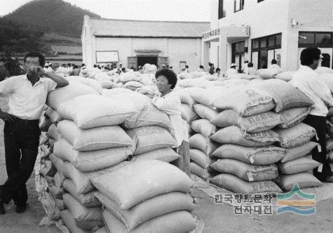 1970년대 추곡수매