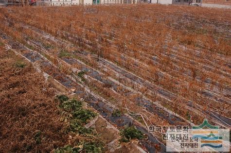 대표시청각 이미지