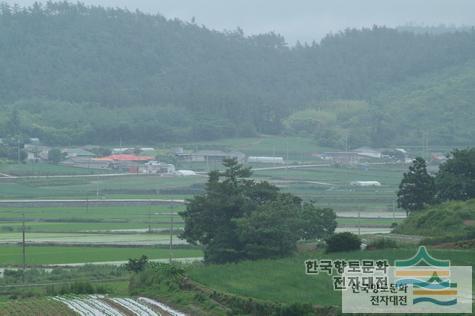 사하리