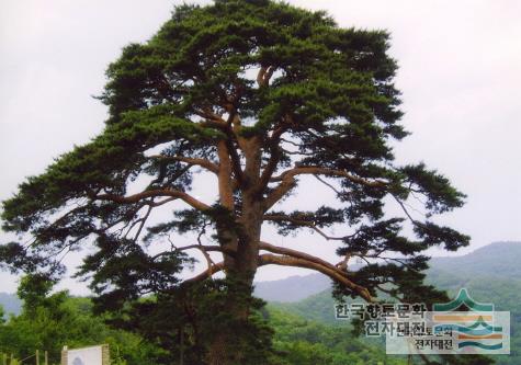 대표시청각 이미지