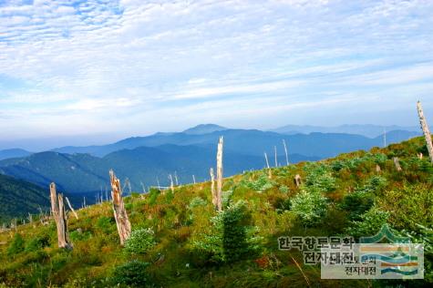 지리산 고사목(제석봉)지