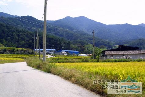 수지면 고평리 고정마을 전경