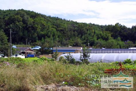 수지면 초리