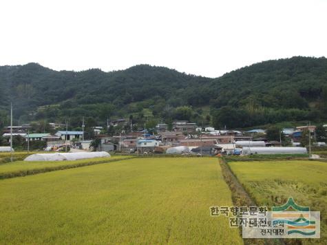 대강면 수홍리 수촌마을의 전경
