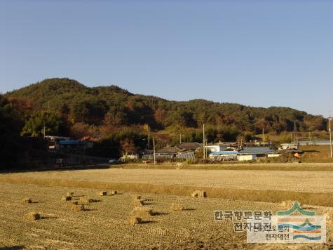 대강면 송대리의 전경