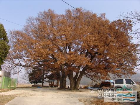 대표시청각 이미지