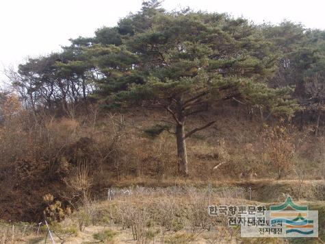 대표시청각 이미지