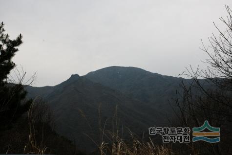 대표시청각 이미지
