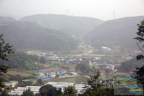 대대리