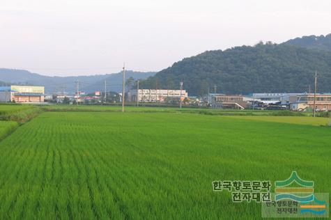 원암리
