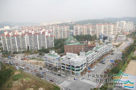보라동