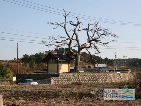 경호동 외동마을 보호수와 당집