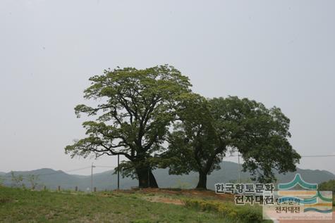 대표시청각 이미지