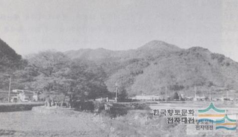 선리 전경