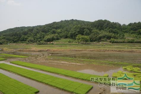 대표시청각 이미지
