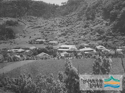1970년대 본천부