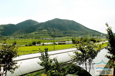 팔재산