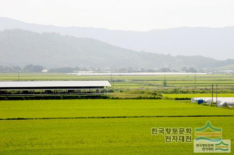 중평들