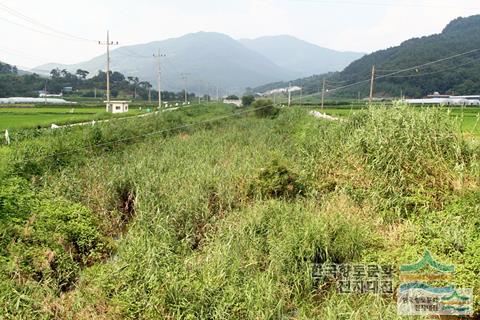 계실천