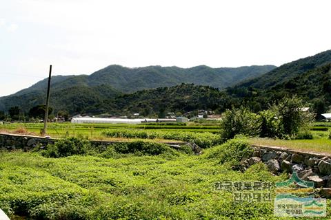 선학리