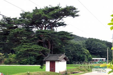 고성리 가원 성황당