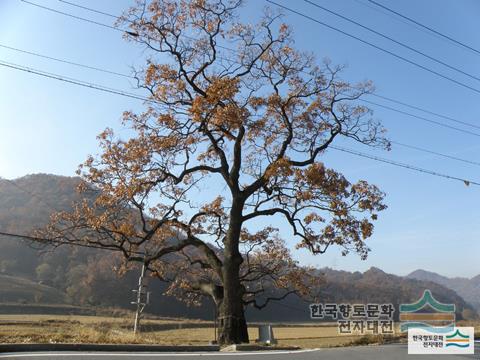 대표시청각 이미지