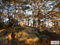 북바위산 정상 썸네일 이미지
