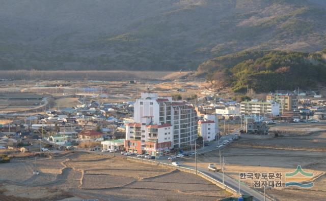 웅동1동 일원
