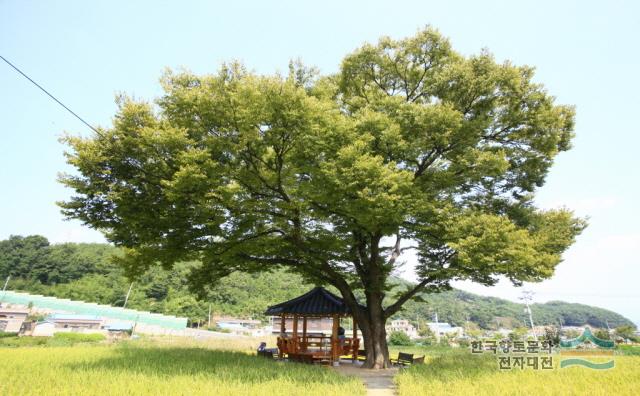 대표시청각 이미지