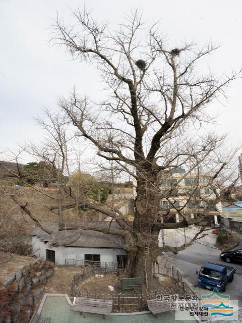 대표시청각 이미지