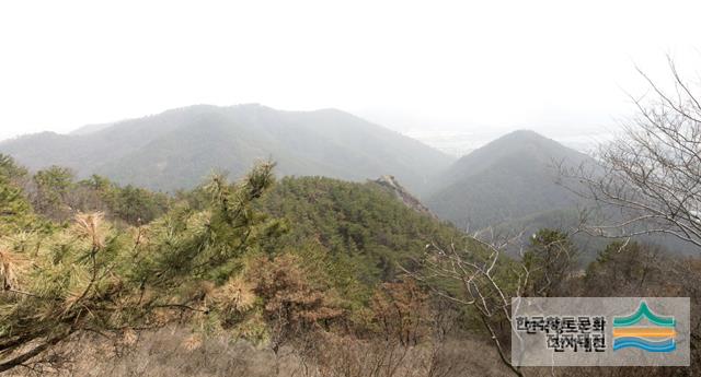 팔룡산