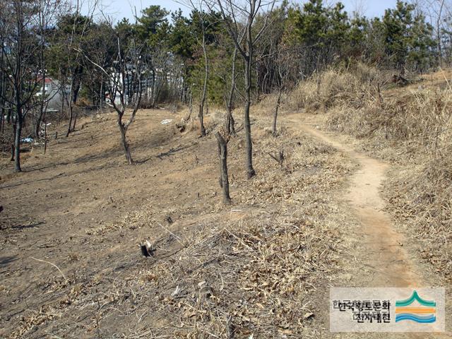 가음정동 유물 산포지(1)