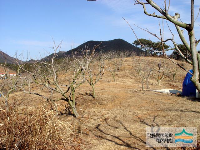고암리 고분군
