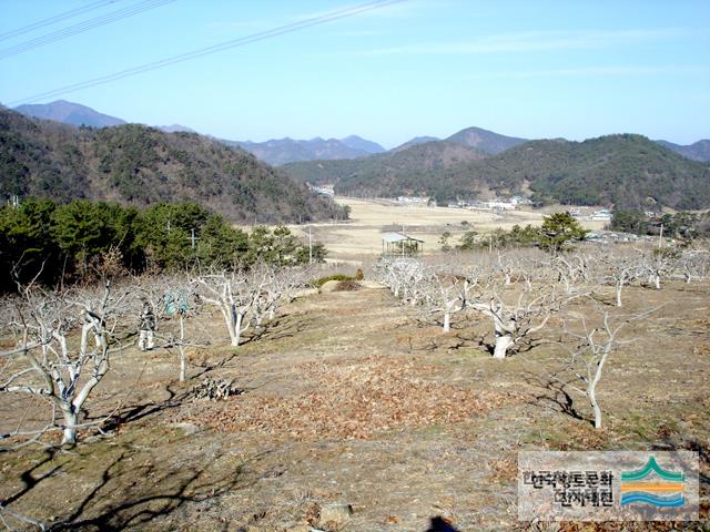 고암리 유물 산포지