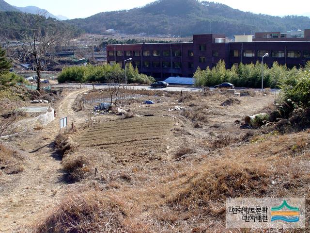 사림동 유물 산포지