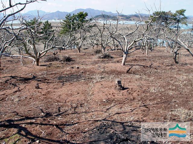 우암리 고분군