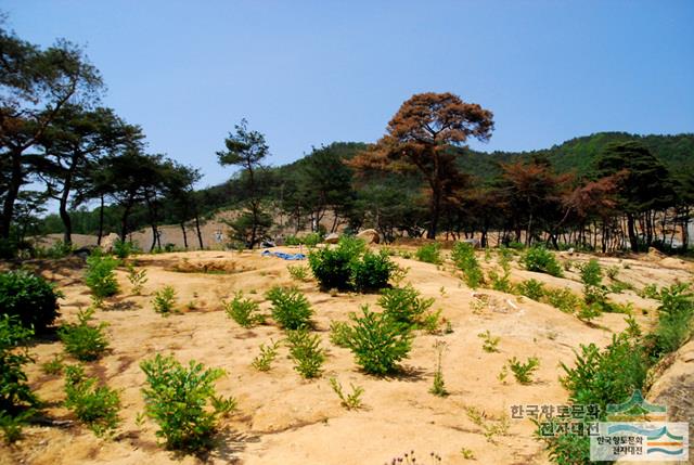 대표시청각 이미지