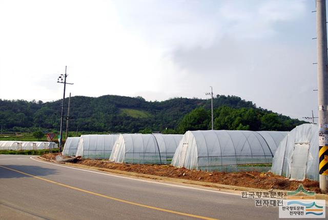 오평리 유물산포지 ①