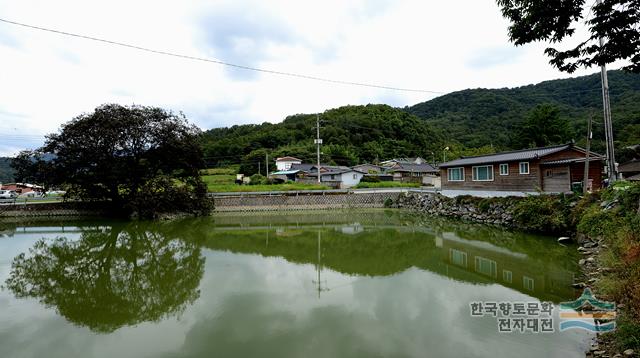 중지리 중마