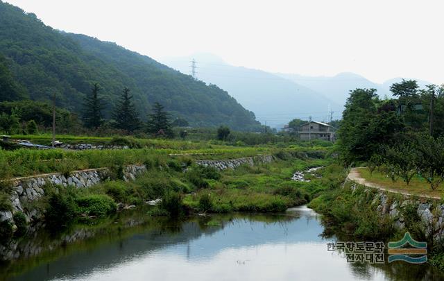 한천