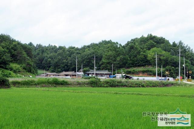 이상리 전경