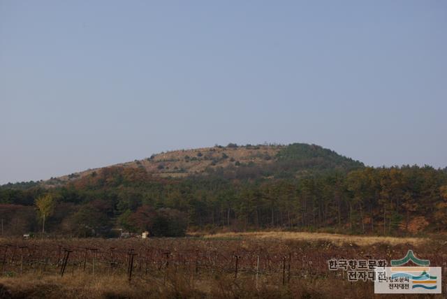황금산