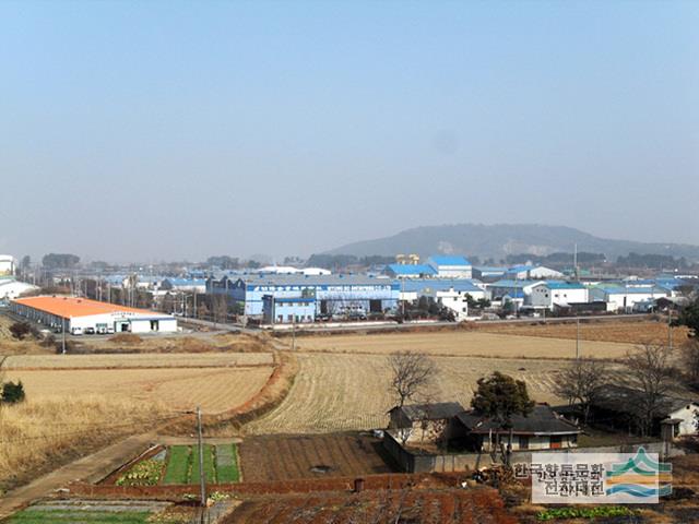 월성동