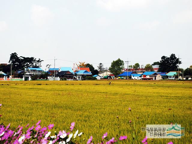 죽산리