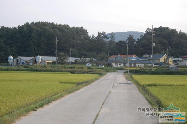 행정리